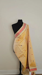 Traditional Kanjipuram silk