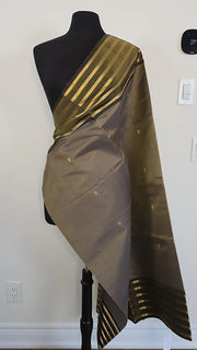 Salangai border silk cotton