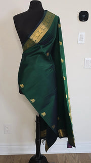 Dark Green Silk Cotton saree with gold border on a mannequin against a white wall.