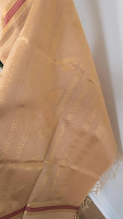 Beige Pure Handloom Silk Cotton