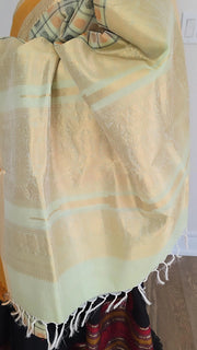 Aayiram butta light green