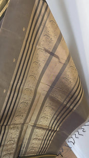 Salangai border silk cotton