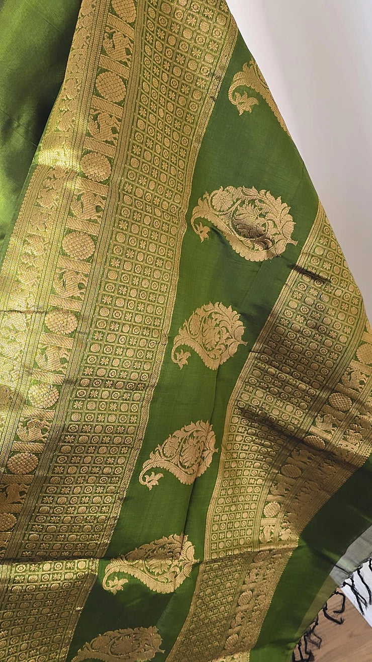 Apple Green Pure Handloom Silk Cotton