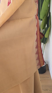 Beige Pure Handloom Silk Cotton