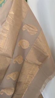 Beige Premium Cotton