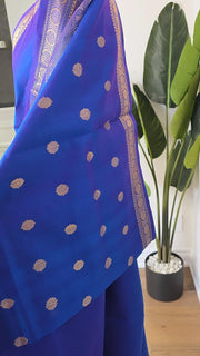 Blue Kutty Border Pure Handloom Silk Cotton