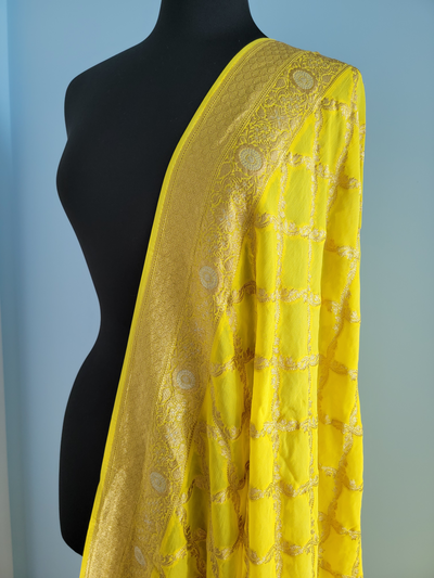 Mustard Yellow with gold banarasi khadi pure silk